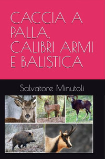 Caccia A Palla, Calibri Armi E Balistica