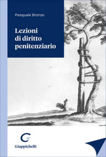 Lezioni di diritto penitenziario