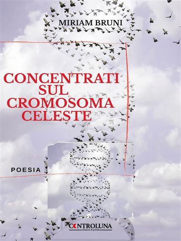 Concentrati sul cromosoma terrestre