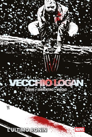 Vecchio Logan 2