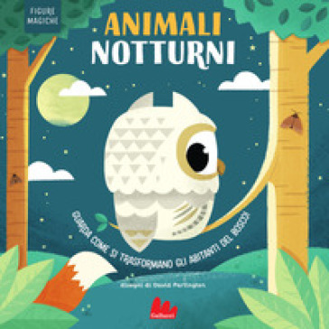 Animali notturni. Figure magiche. Ediz. a colori