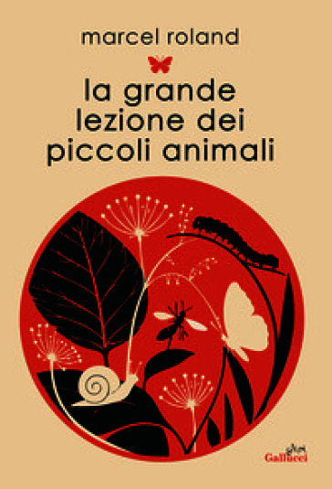La grande lezione dei piccoli animali. Ediz. illustrata