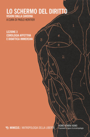 Lo schermo del diritto. Visioni dalla caverna. Vol. 3: Corologia affettiva e didattica immersiva