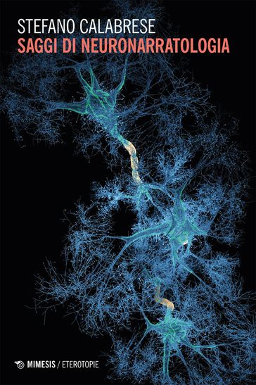 Saggi di neuronarratologia