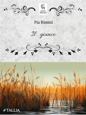 Il giunco