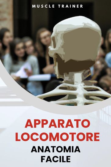 Apparato Locomotore - Anatomia Facile