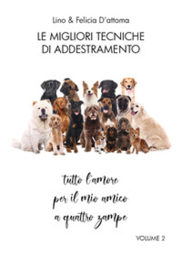 Le migliori tecniche di addestramento