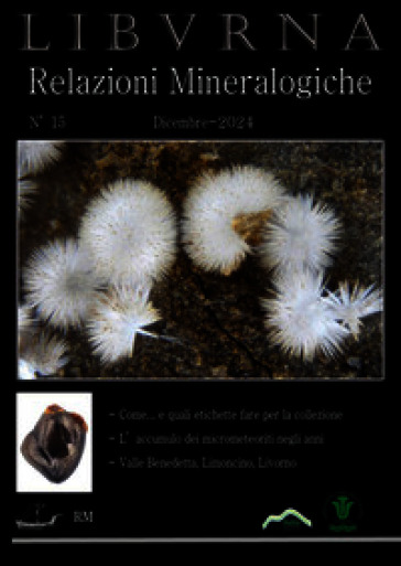 Relazioni mineralogiche. Libvrna. Vol. 15
