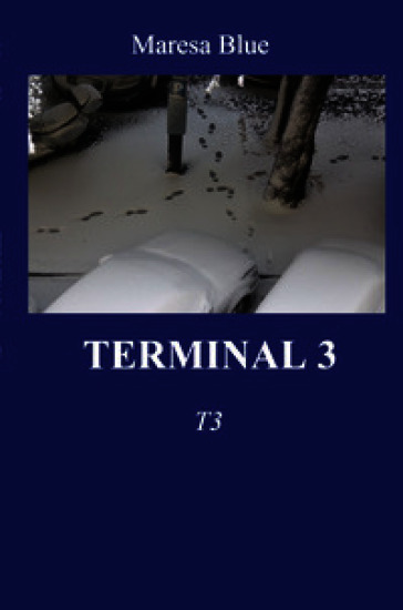 Terminal 3