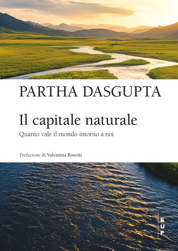 Il capitale naturale