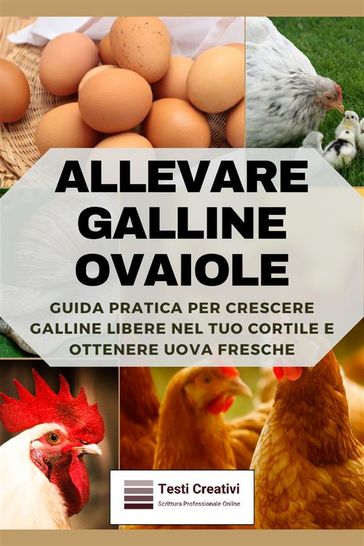 Allevare Galline Ovaiole