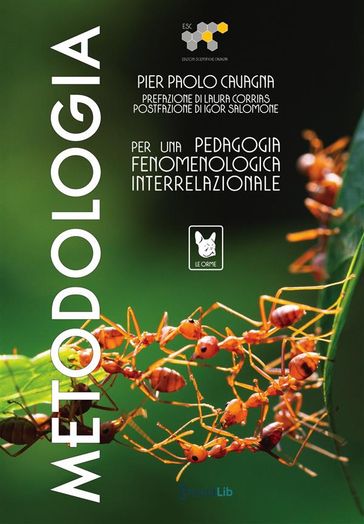 Metodologia per una pedagogia fenomenologica interrelazionale