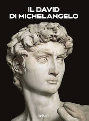 Il David di Michelangelo
