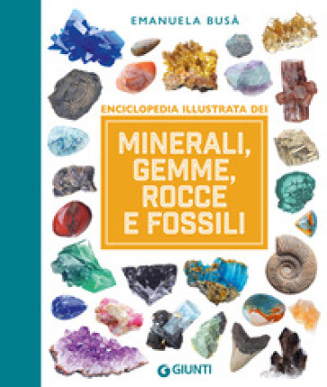 Minerali, gemme, rocce e fossili. Enciclopedia illustrata. Ediz. a colori