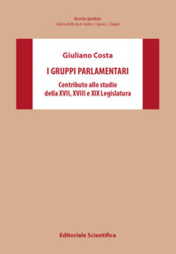 I gruppi parlamentari. Contributo allo studio della XVII,XVIII,XIX Legislatura
