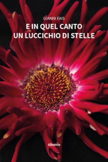 E in quel canto un luccichio