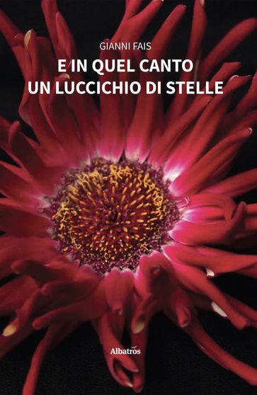 E in quel canto un luccichio di stelle