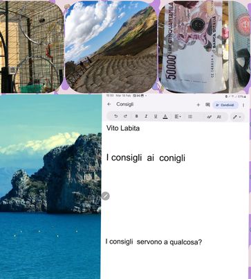 I consigli ai conigli