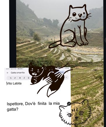 Ispettore, Dov'è finita la mia gatta?
