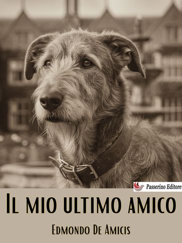 Il mio ultimo amico