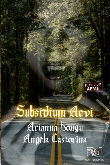 Subsidium Aevi