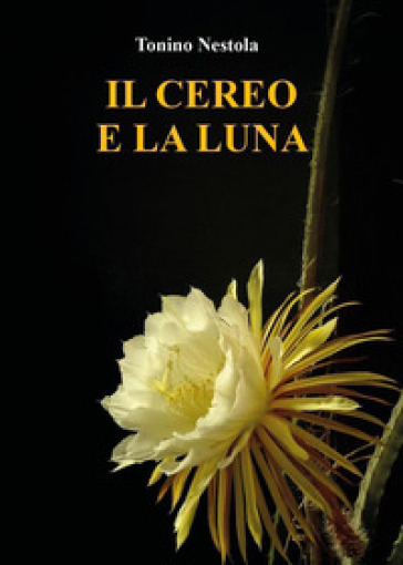 Il cereo e la luna