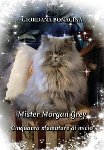 Mister Morgan Grey: cinquanta sfumature di micio