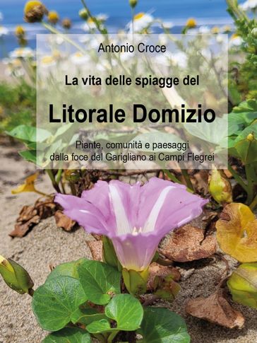 La vita delle spiagge del Litorale Domizio