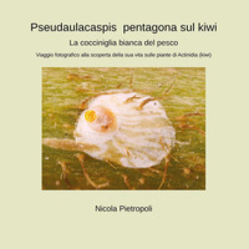 Pseudaulacaspis pentagona sul kiwi. La cocciniglia bianca del pesco. Viaggio fotografico alla scoperta della sua vita sulle piante di actinidia (kiwi)
