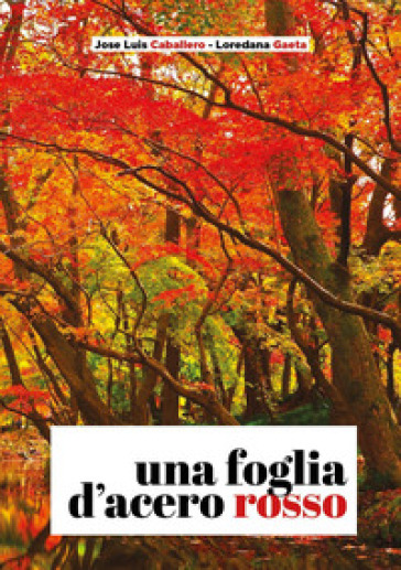 Una foglia d'acero rosso