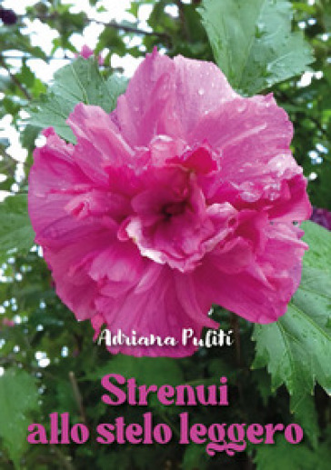Strenui allo stelo leggero