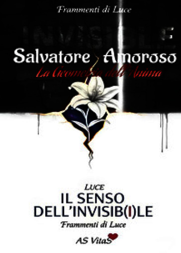 Il senso dell'invisibile. La geometria dell'anima