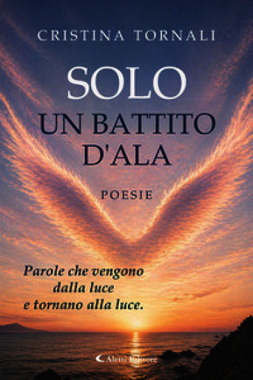 Solo un battito d'ala