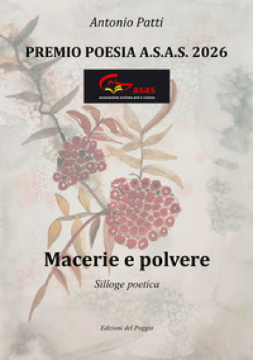 Macerie e polvere