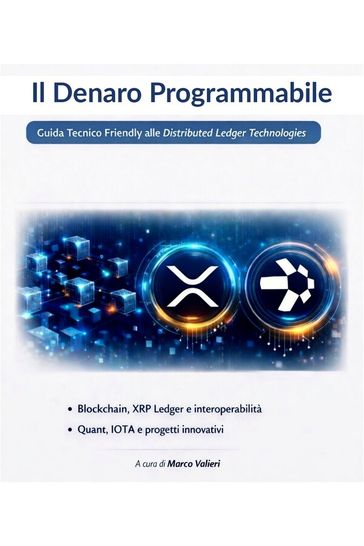 Il Denaro Programmabile