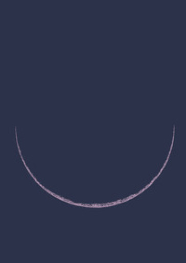 Notti. Cinque secoli di stelle, sogni, pleniluni. Ediz. illustrata