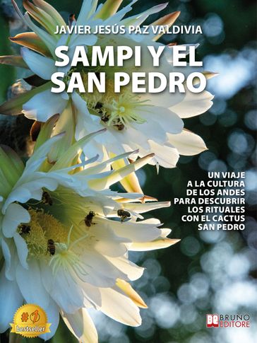 Sampi Y El San Pedro