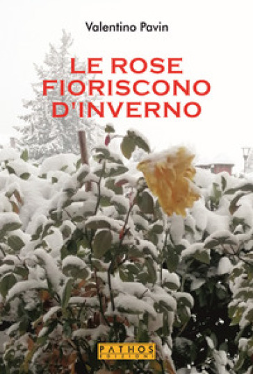 Le rose fioriscono d'inverno
