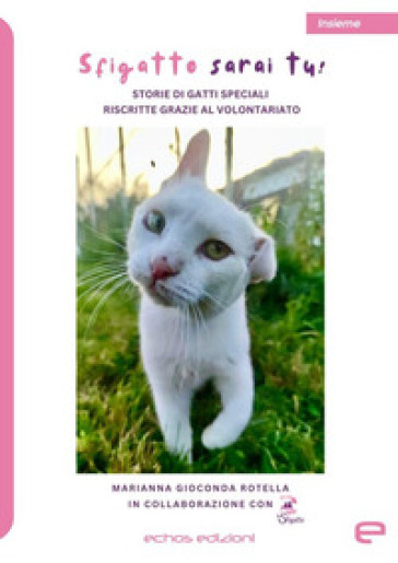 Sfigatto Sarai Tu!