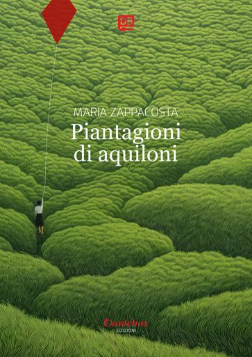 Piantagioni di aquiloni