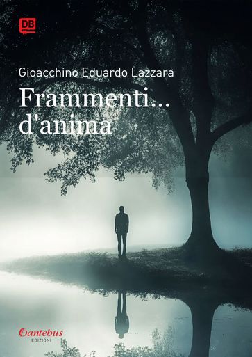 Frammenti d'anima