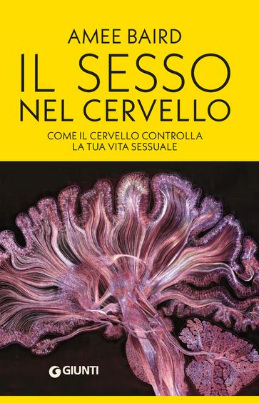 Il sesso nel cervello