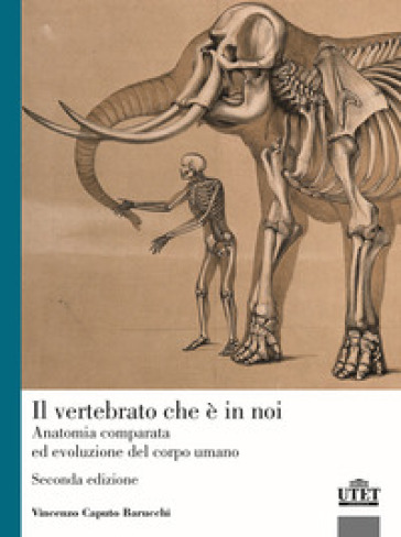 Il vertebrato che è in noi. Anatomia comparata ed evoluzione del corpo umano