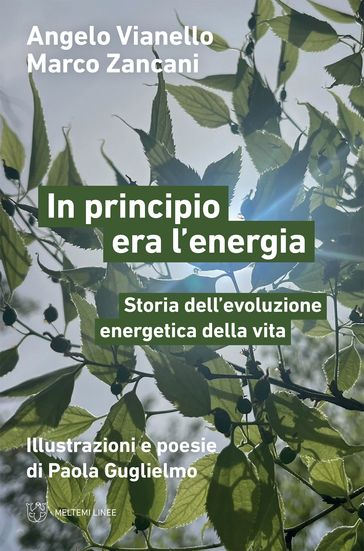 In principio era l'energia
