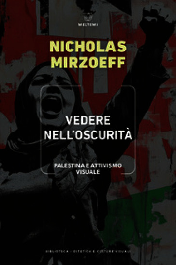 Vedere nell'oscurità. Palestina e attivismo visuale