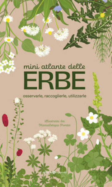 Mini atlante delle erbe. Osservarle, raccoglierle, utilizzarle