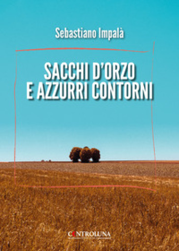 Sacchi d'oro e azzurri contorni