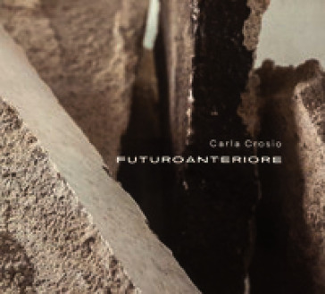 Futuro anteriore
