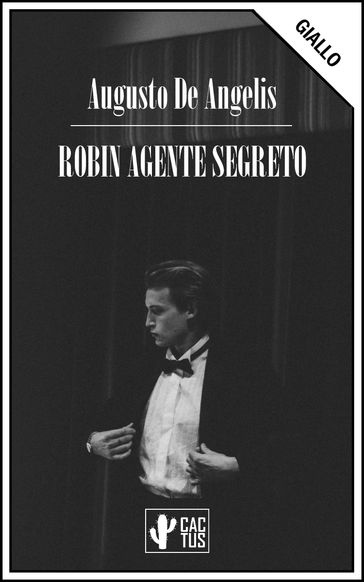 Robin agente segreto