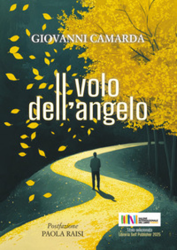 Il volo dell'angelo